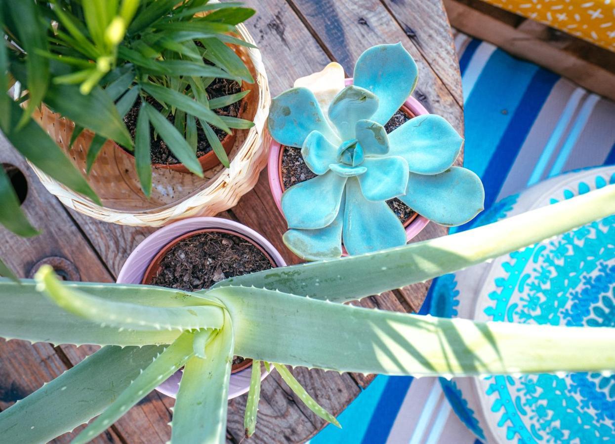 The Kalifornia I Stilvoll Mit Urlaubsfeeling I Dachterrasse I Klima Appartement
